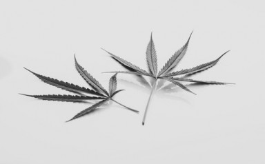 Лечение наркомании в Партизанске